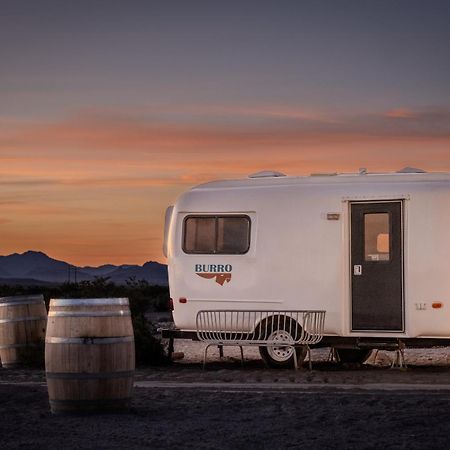 Tarantula Ranch Campground & Vineyard Near Death Valley National Park Amargosa Valley Exterior photo